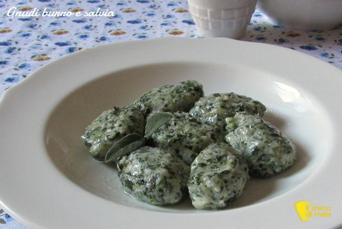Gnudi