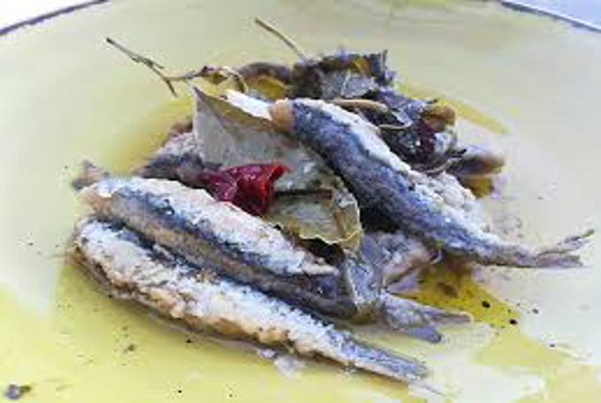 Scapece di Alici